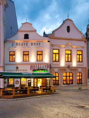 Hotel Concertino Zlatá Husa Jindrichuv Hradec